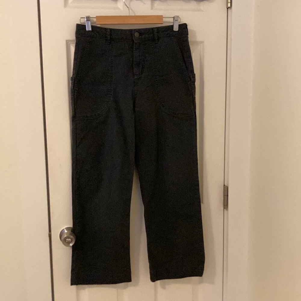 Patagonia Organic Cotton classic “Standup” Pants in blue size 4